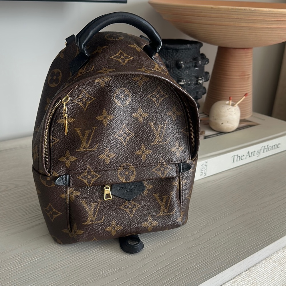 Louis Vuitton Palm Springs Mini Backpack
